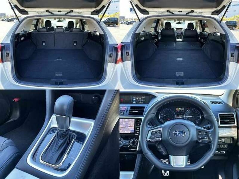LEVORG
