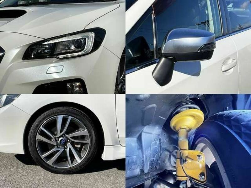 LEVORG