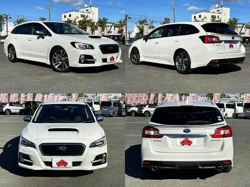 LEVORG
