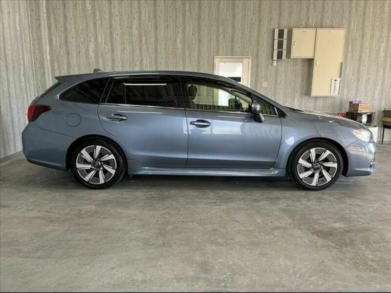 LEVORG