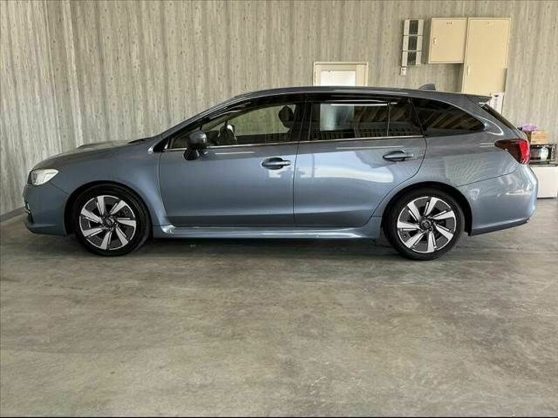 LEVORG