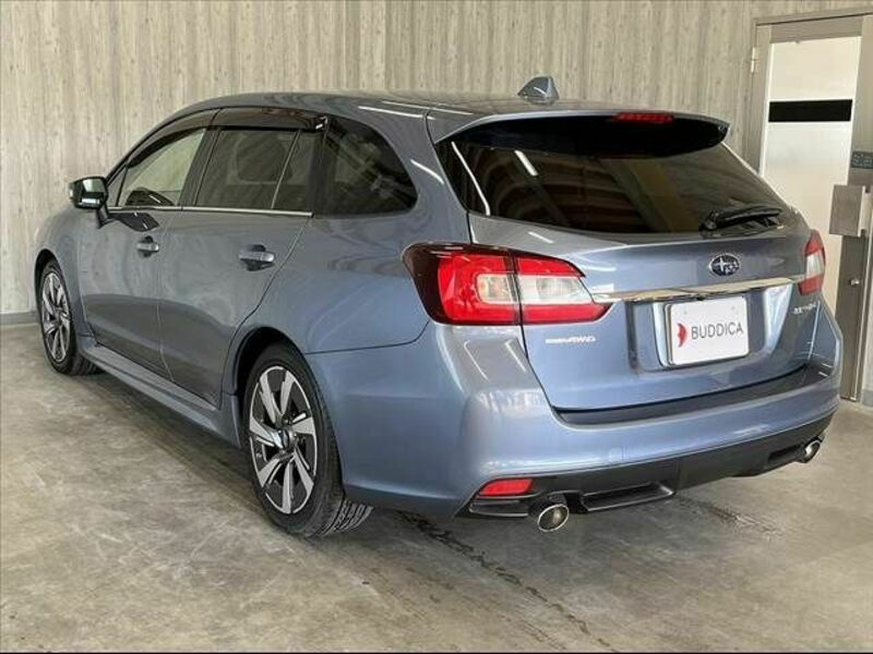 LEVORG
