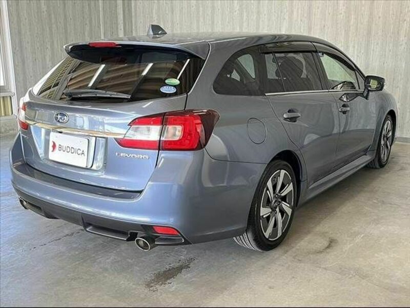 LEVORG