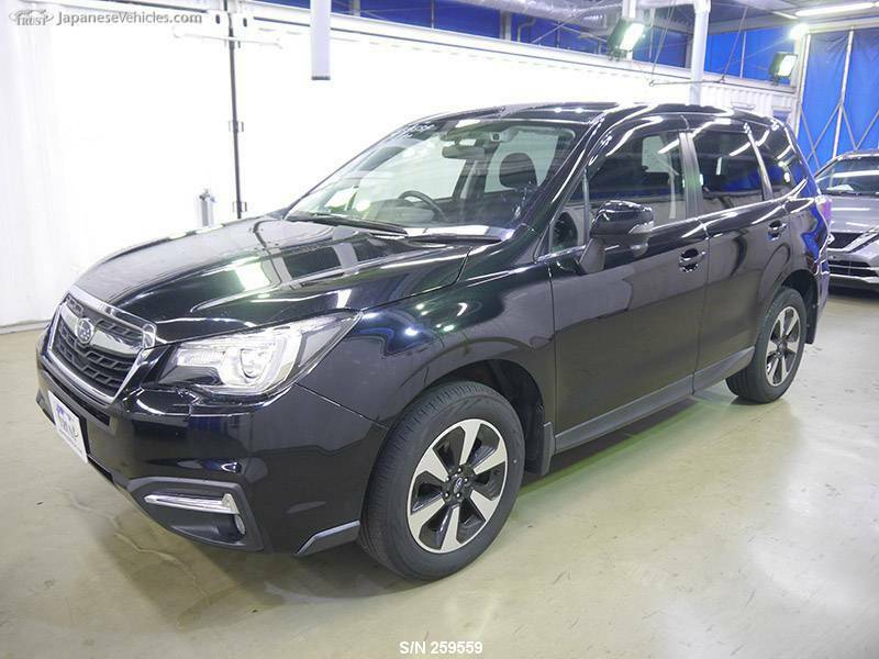 FORESTER