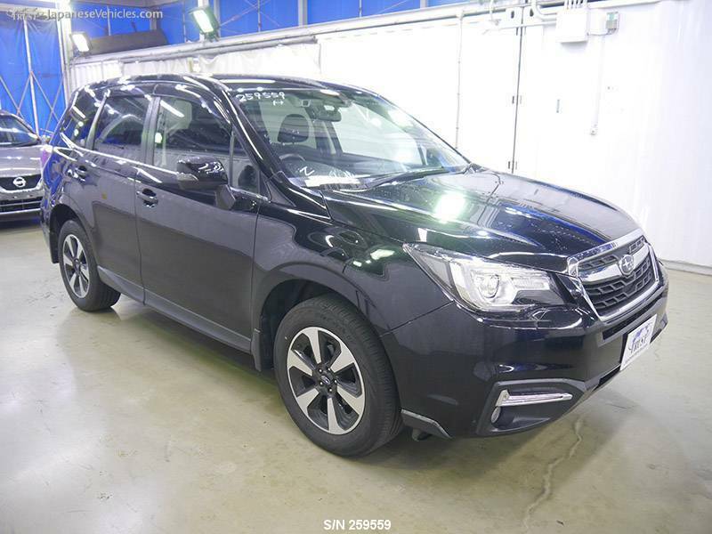 FORESTER