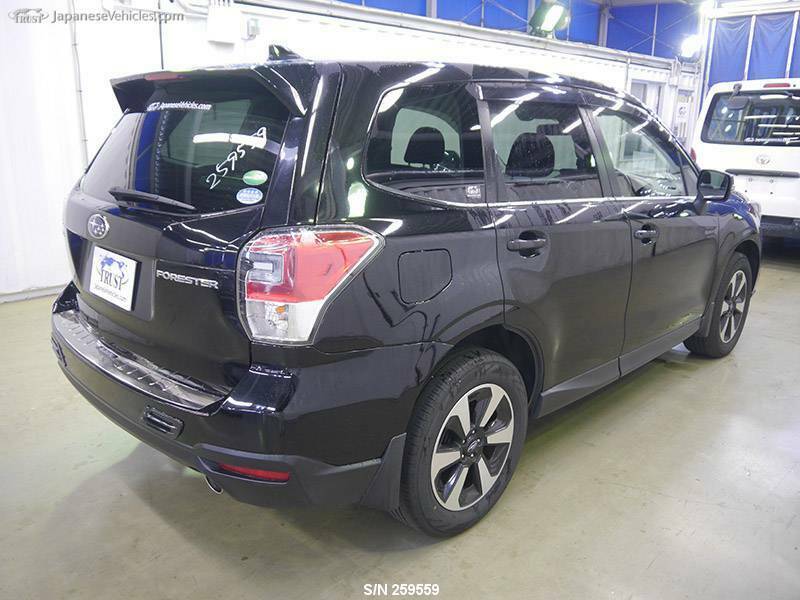 FORESTER
