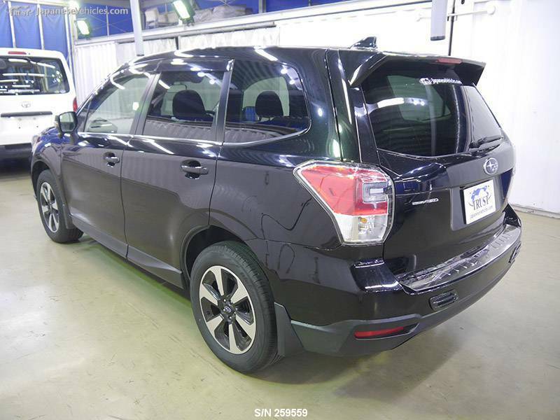 FORESTER