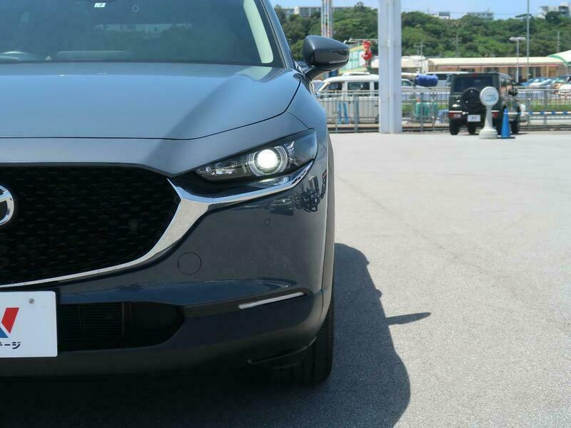 CX-30