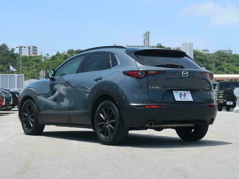 CX-30