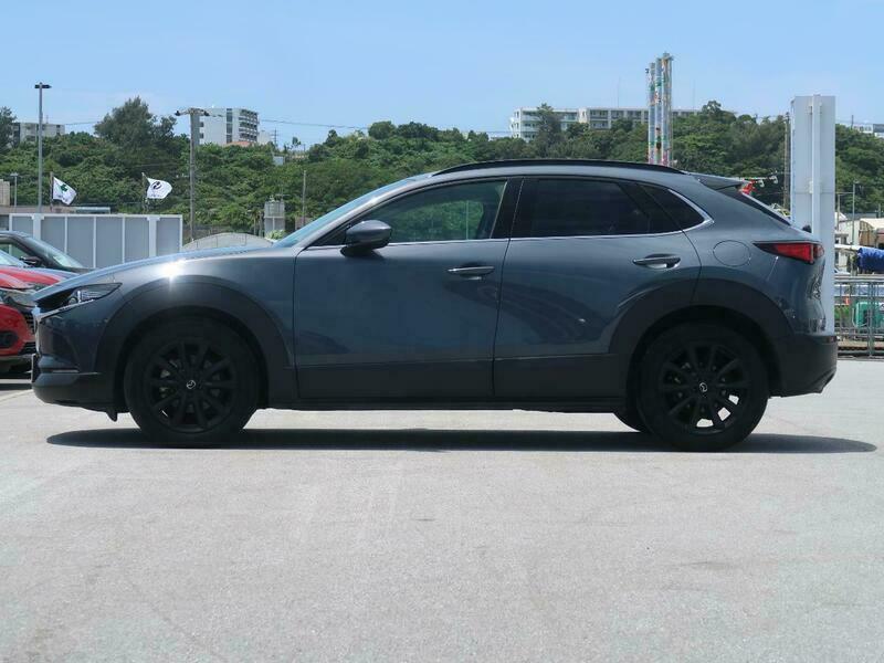 CX-30