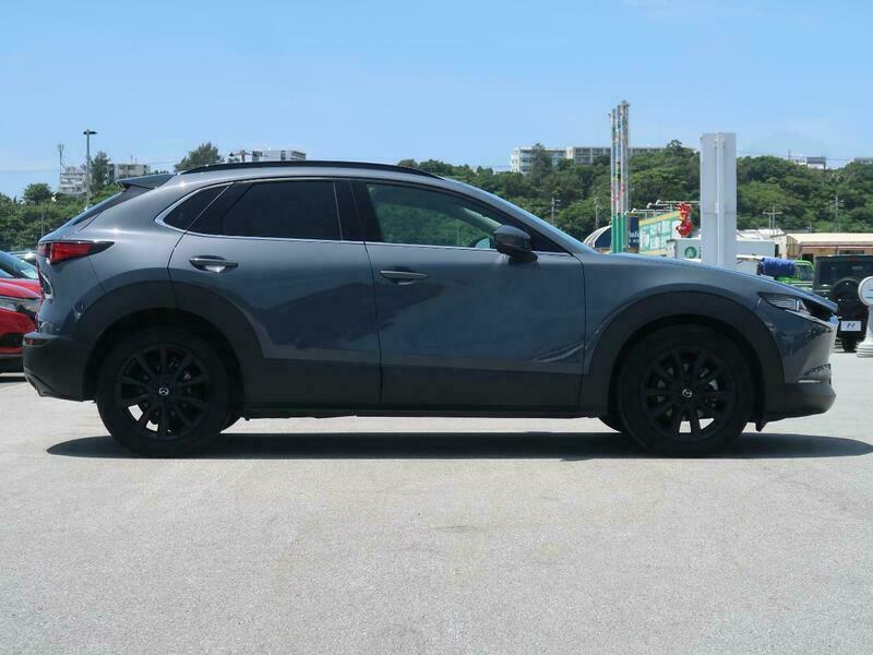 CX-30