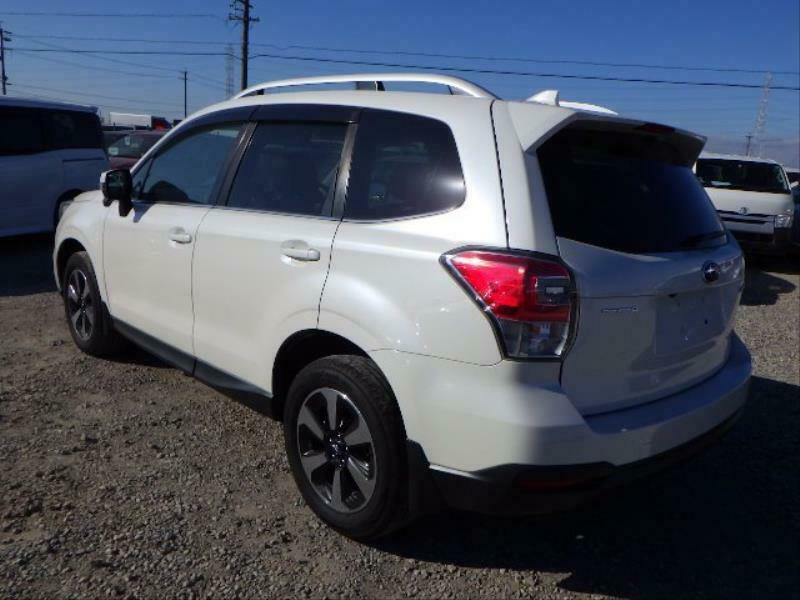 FORESTER