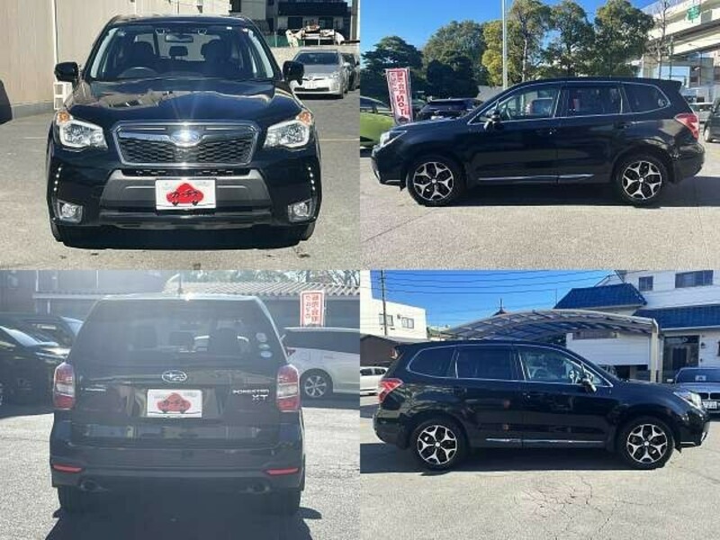 FORESTER