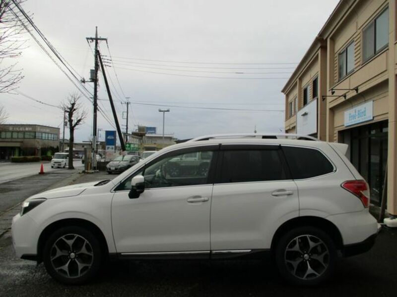 FORESTER