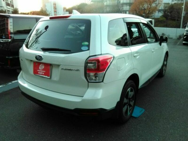 FORESTER