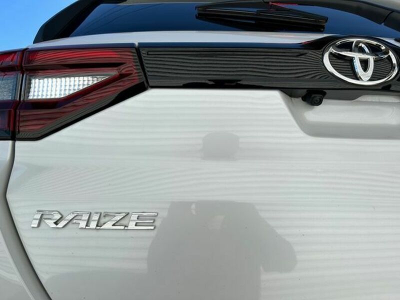 RAIZE