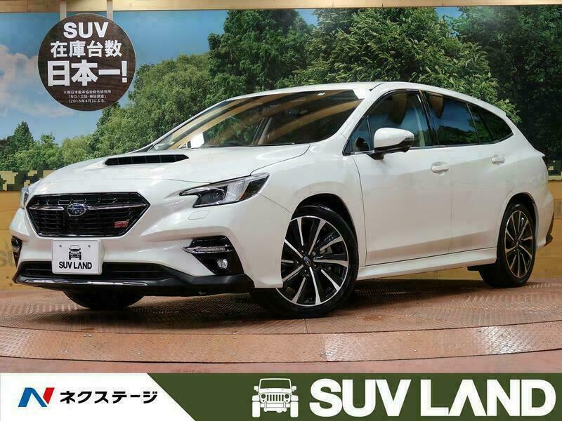 LEVORG-28