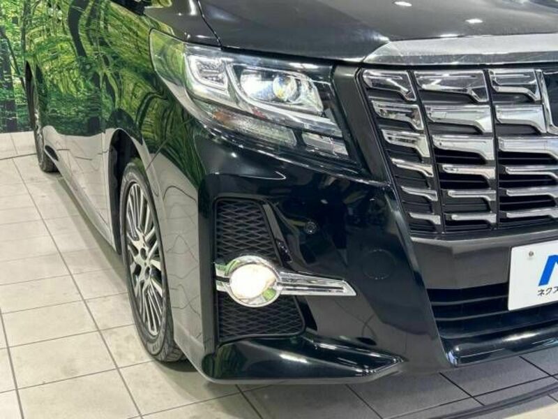 ALPHARD-13