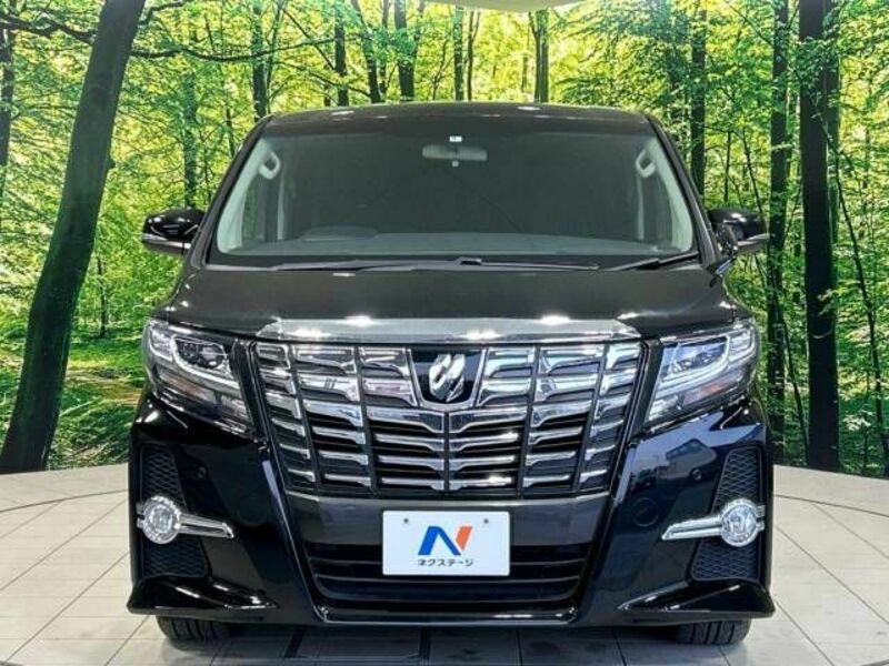 ALPHARD-15