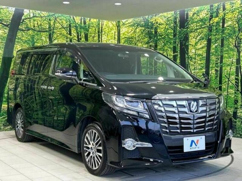 ALPHARD-17