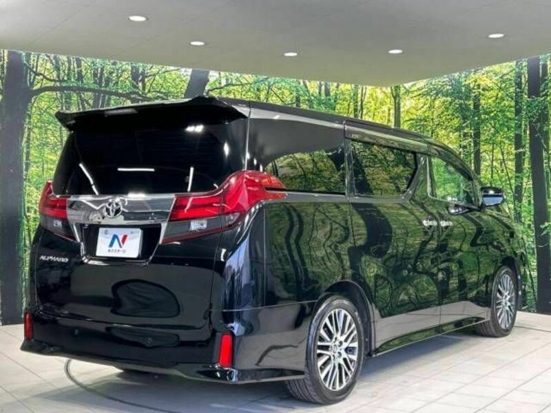 ALPHARD-18