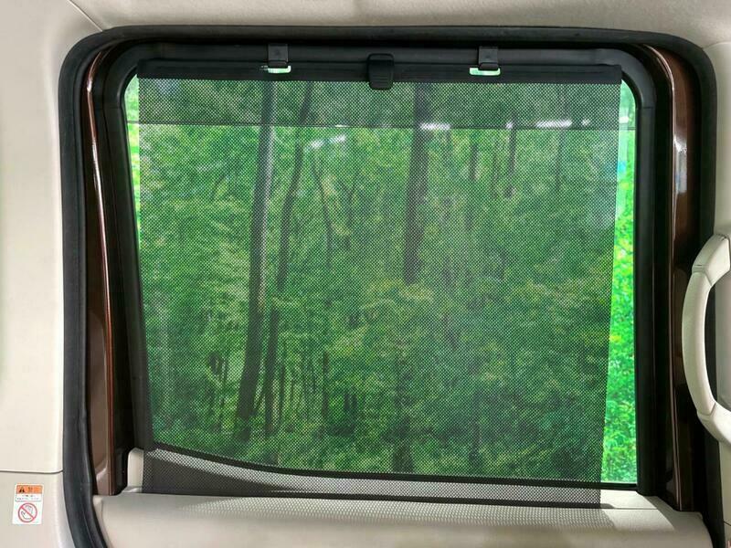 DAYZ ROOX