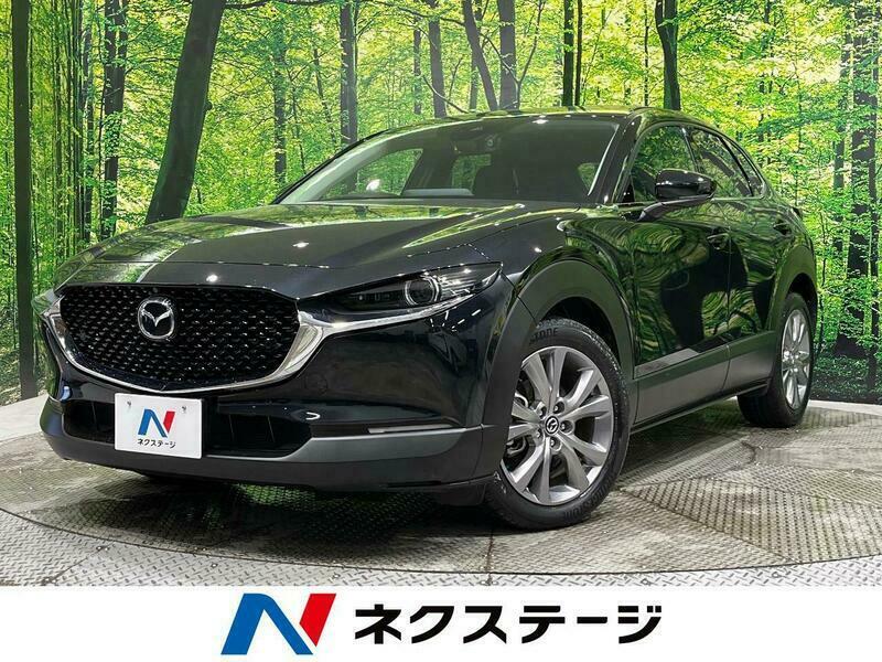 CX-30-39