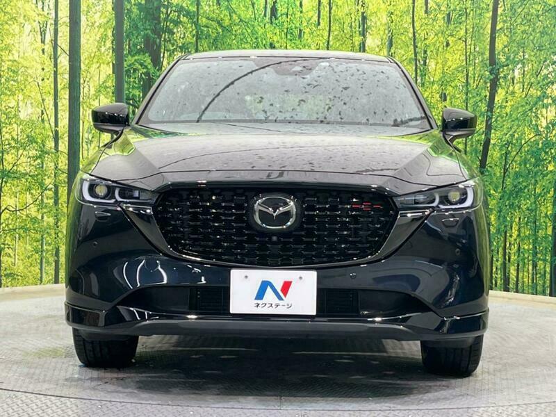 CX-5-31