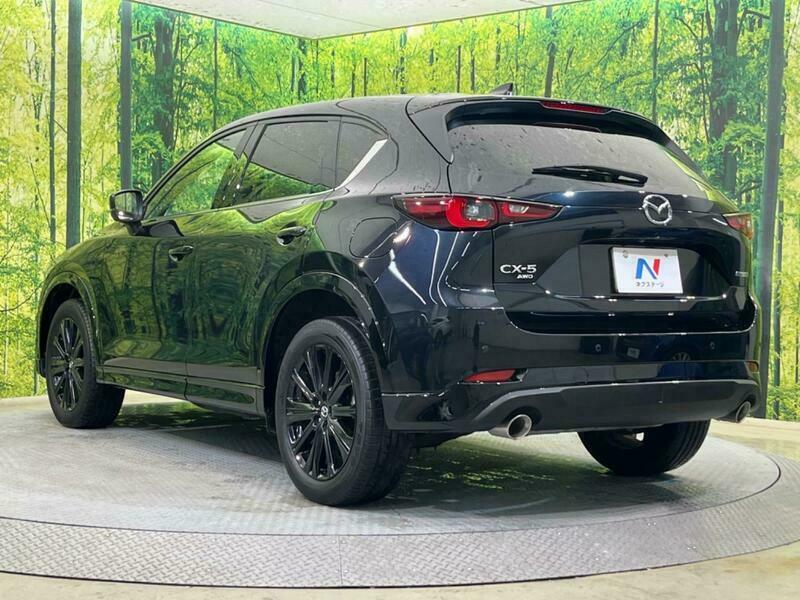 CX-5-4