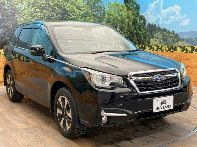FORESTER