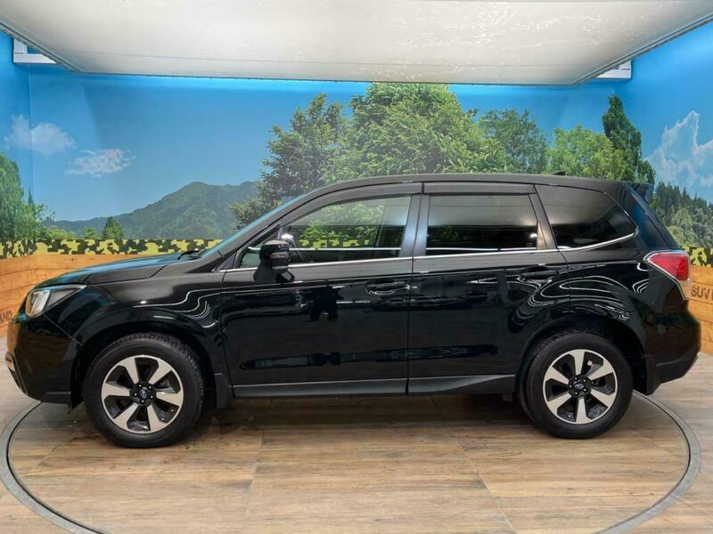 FORESTER