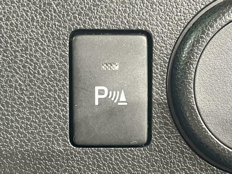 PLEO PLUS