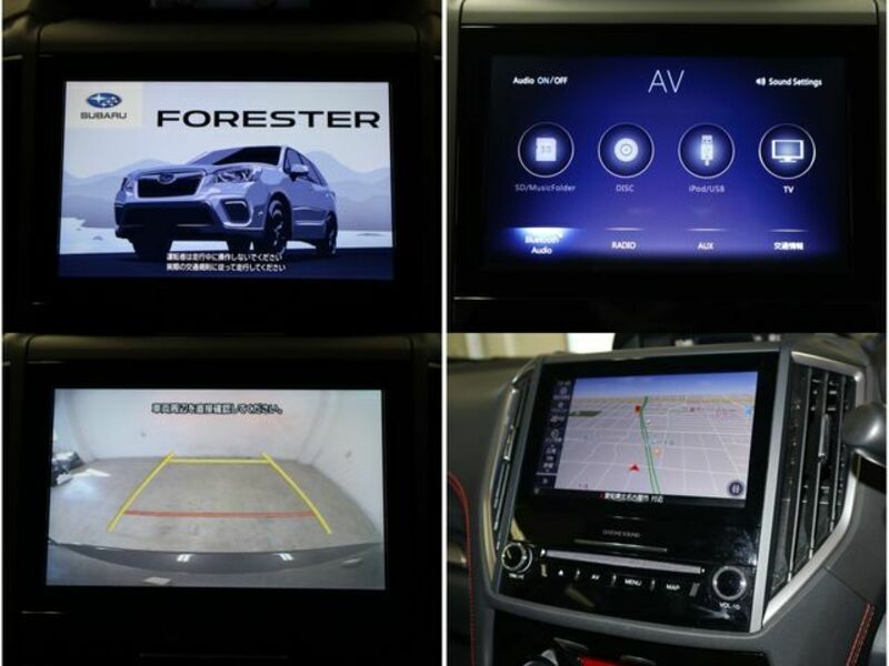 FORESTER