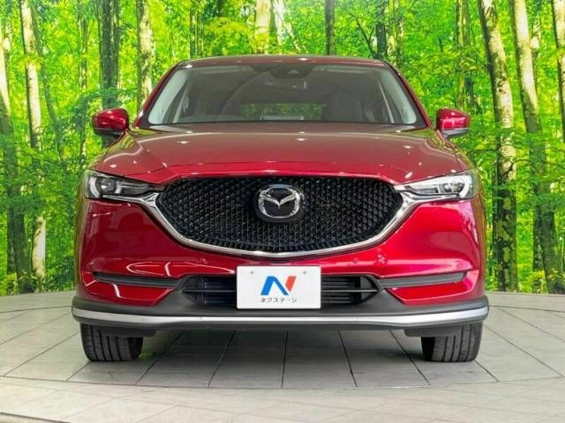 CX-5-18