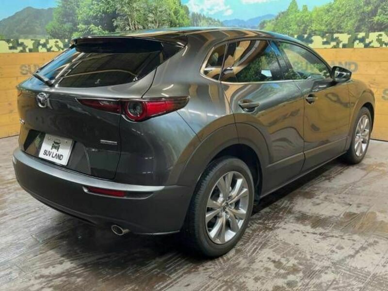 CX-30-17