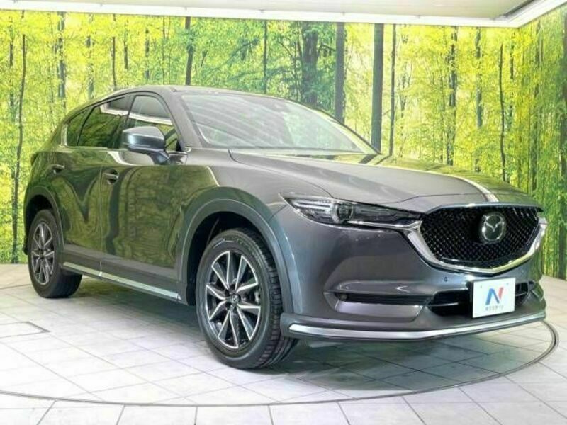 CX-5-16