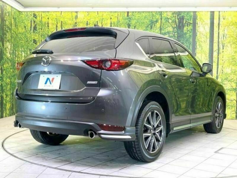 CX-5-17