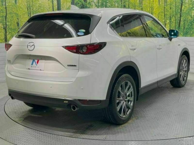 CX-5-17