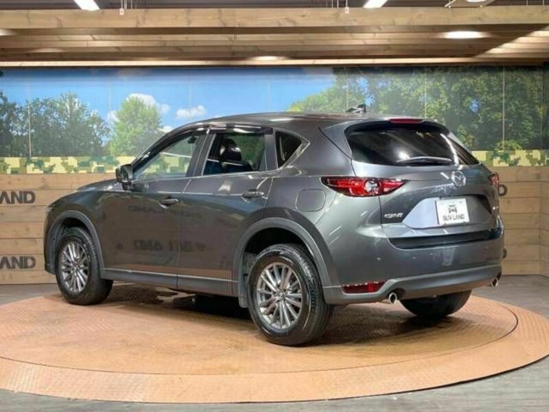 CX-5-17