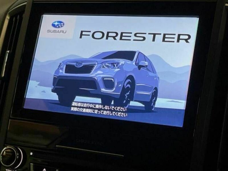 FORESTER