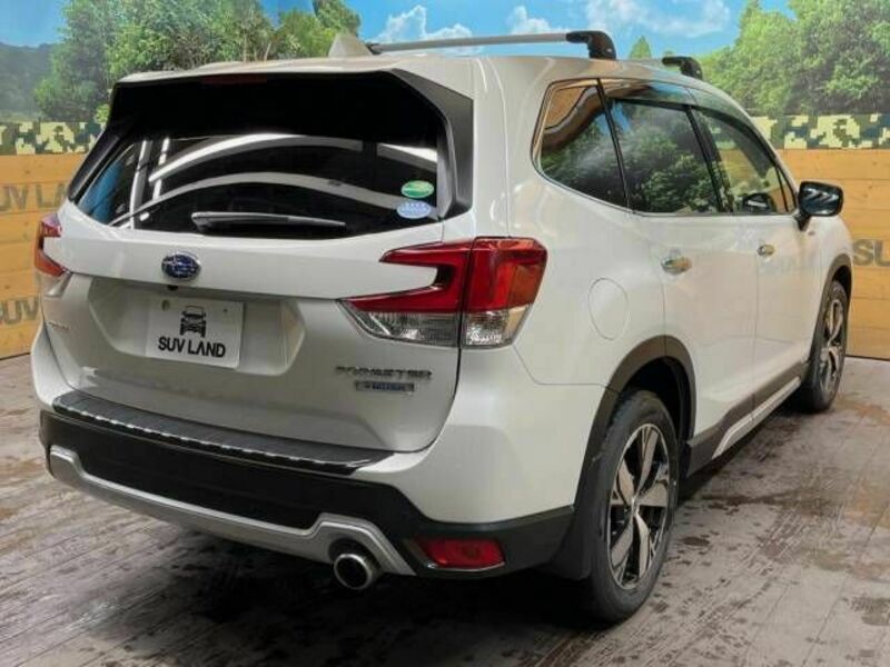 FORESTER