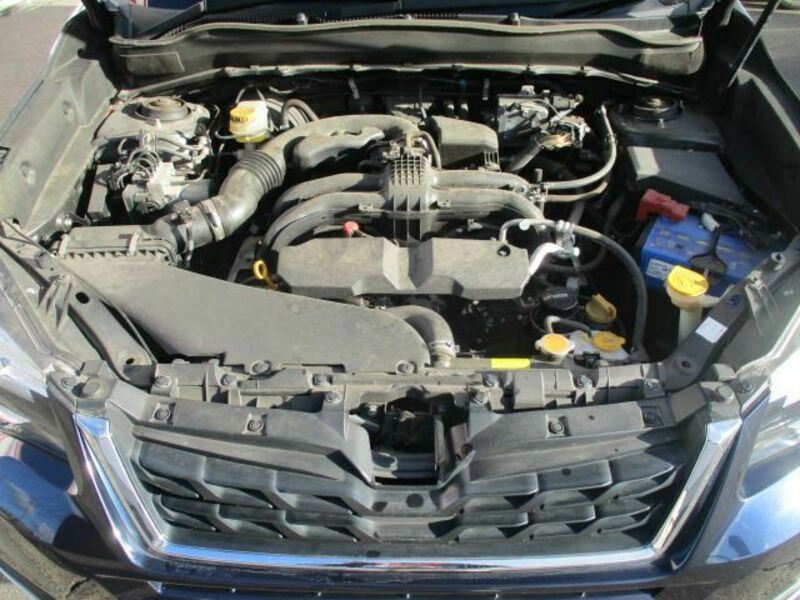 FORESTER