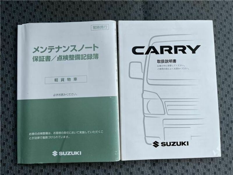 CARRY TRUCK