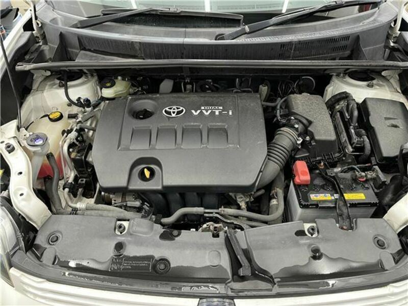 COROLLA RUMION