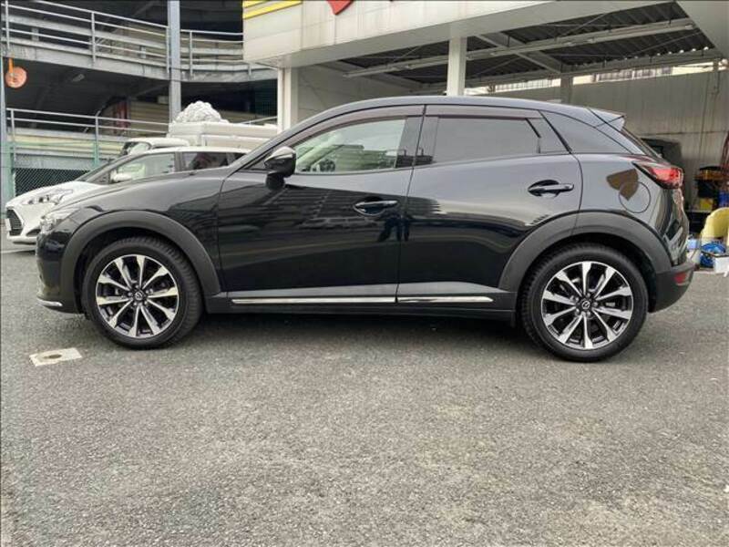 CX-3-12