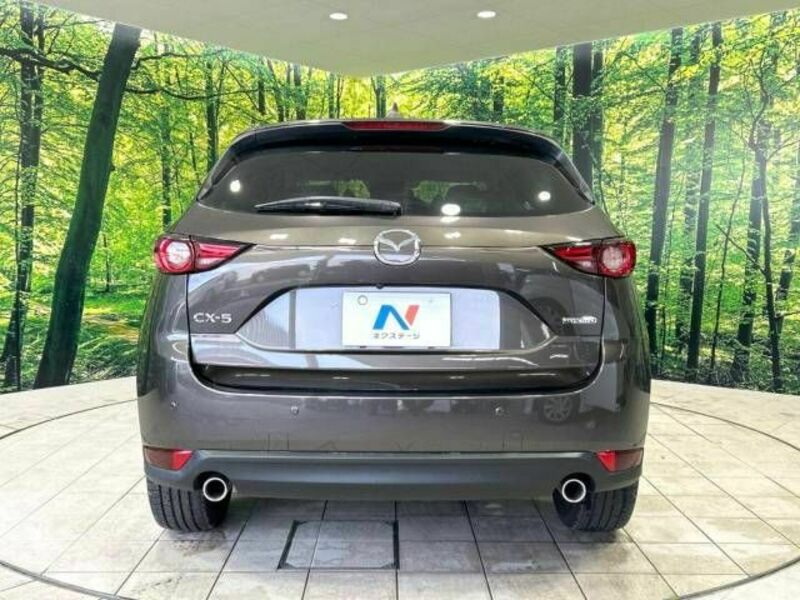 CX-5-15