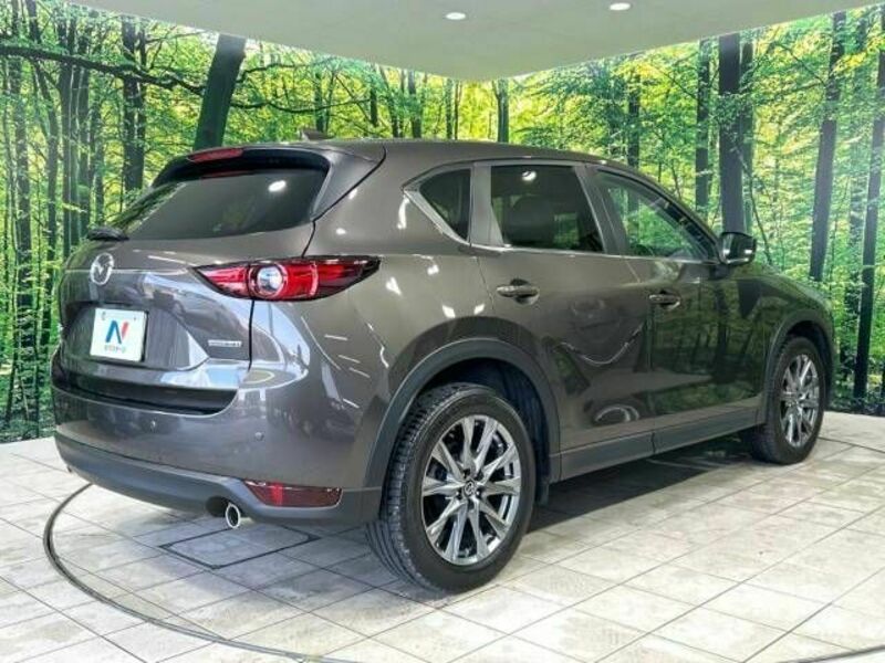 CX-5-17