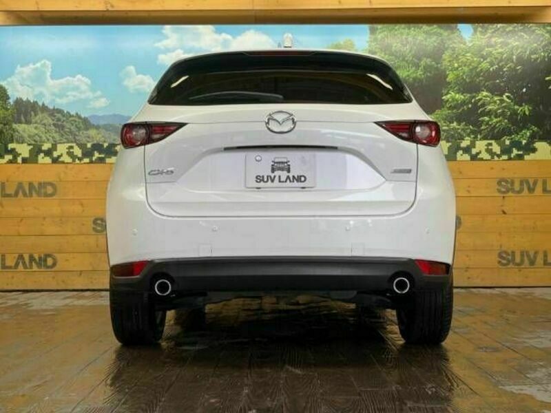 CX-5-16