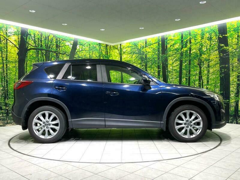 CX-5-11