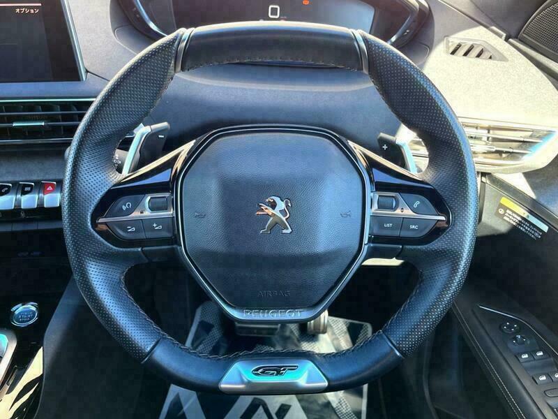 3008